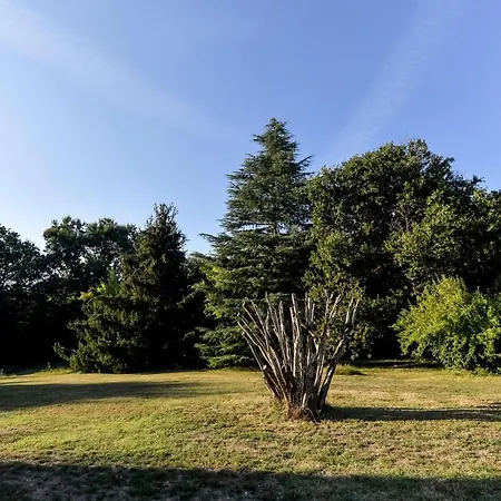 Domaine Verte Vallée