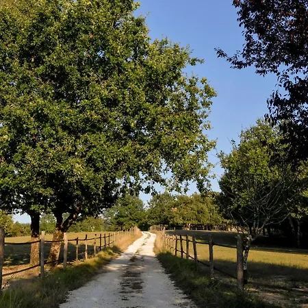 Domaine Verte Vallée Couette-café