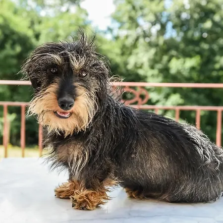 Domaine Verte Vallee 3*