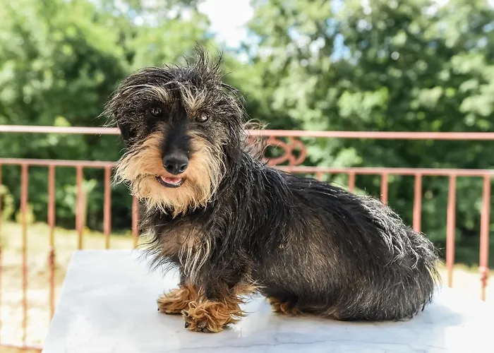 Domaine Verte Vallee 3*