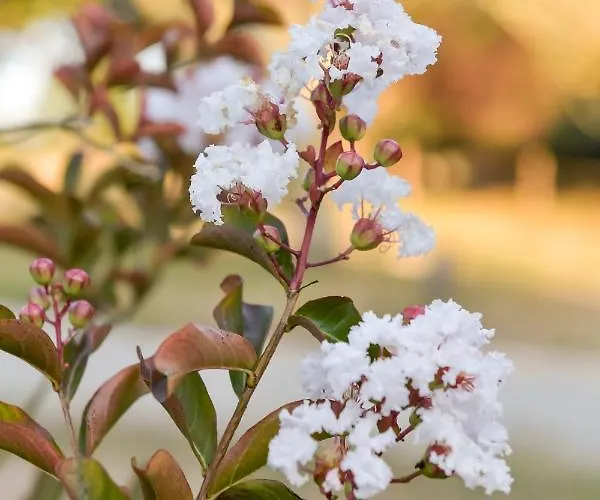 Frühstückspension Domaine Verte Vallee Lignan-de-Bordeaux